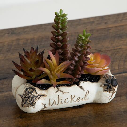 5" Artificial Halloween Succulent Garden in Haunted Planters Set